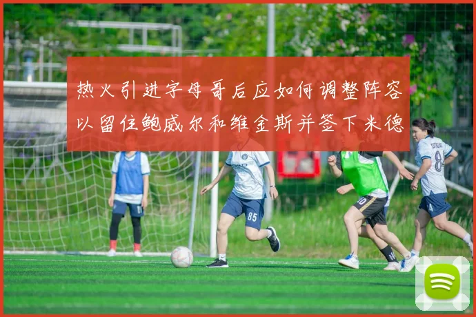 热火引进字母哥后应如何调整阵容以留住鲍威尔和维金斯并签下米德尔顿