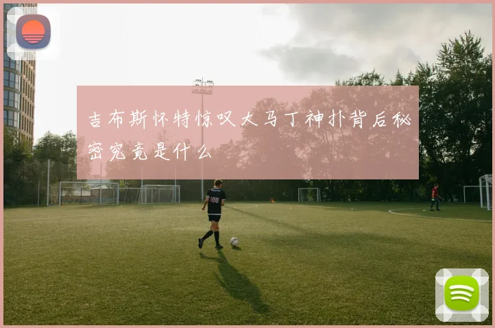 吉布斯怀特惊叹大马丁神扑背后秘密究竟是什么