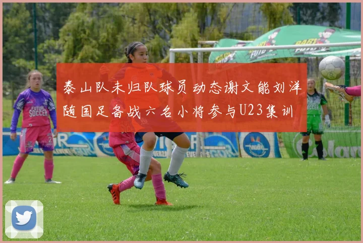 泰山队未归队球员动态谢文能刘洋随国足备战六名小将参与U23集训
